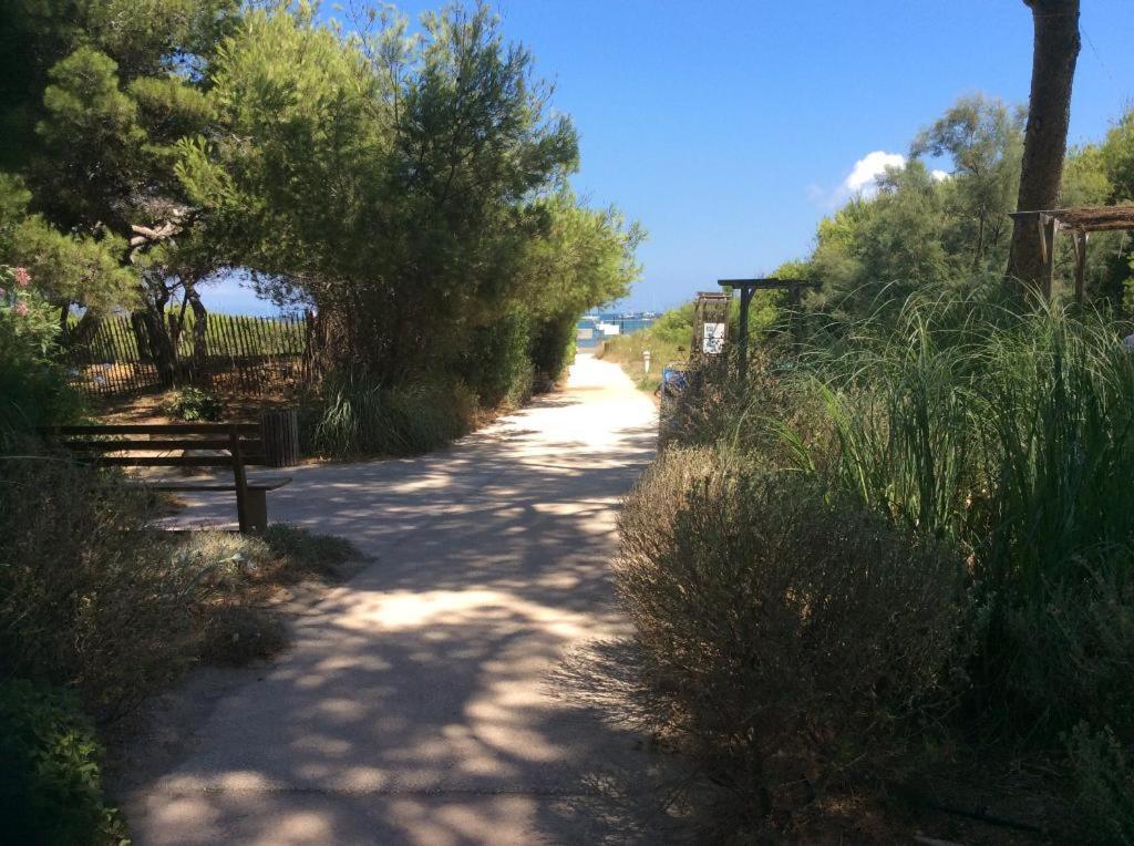 Badine Beach 5P Plage Piscine Balneo Clim Jardin Exotique Йер Экстерьер фото